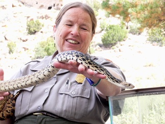 Chris Judson with bullsnake