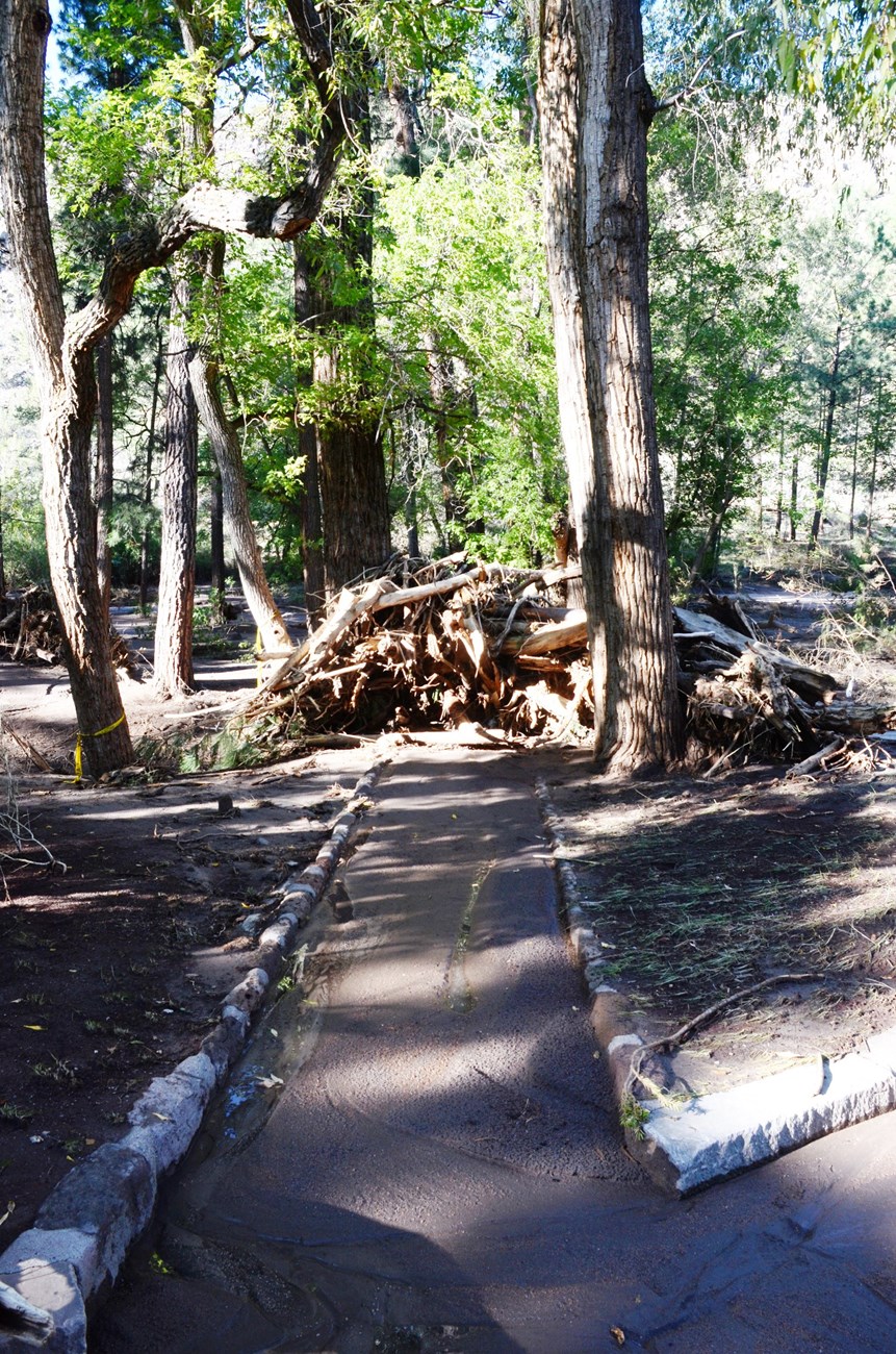 Foot Bridge 091313