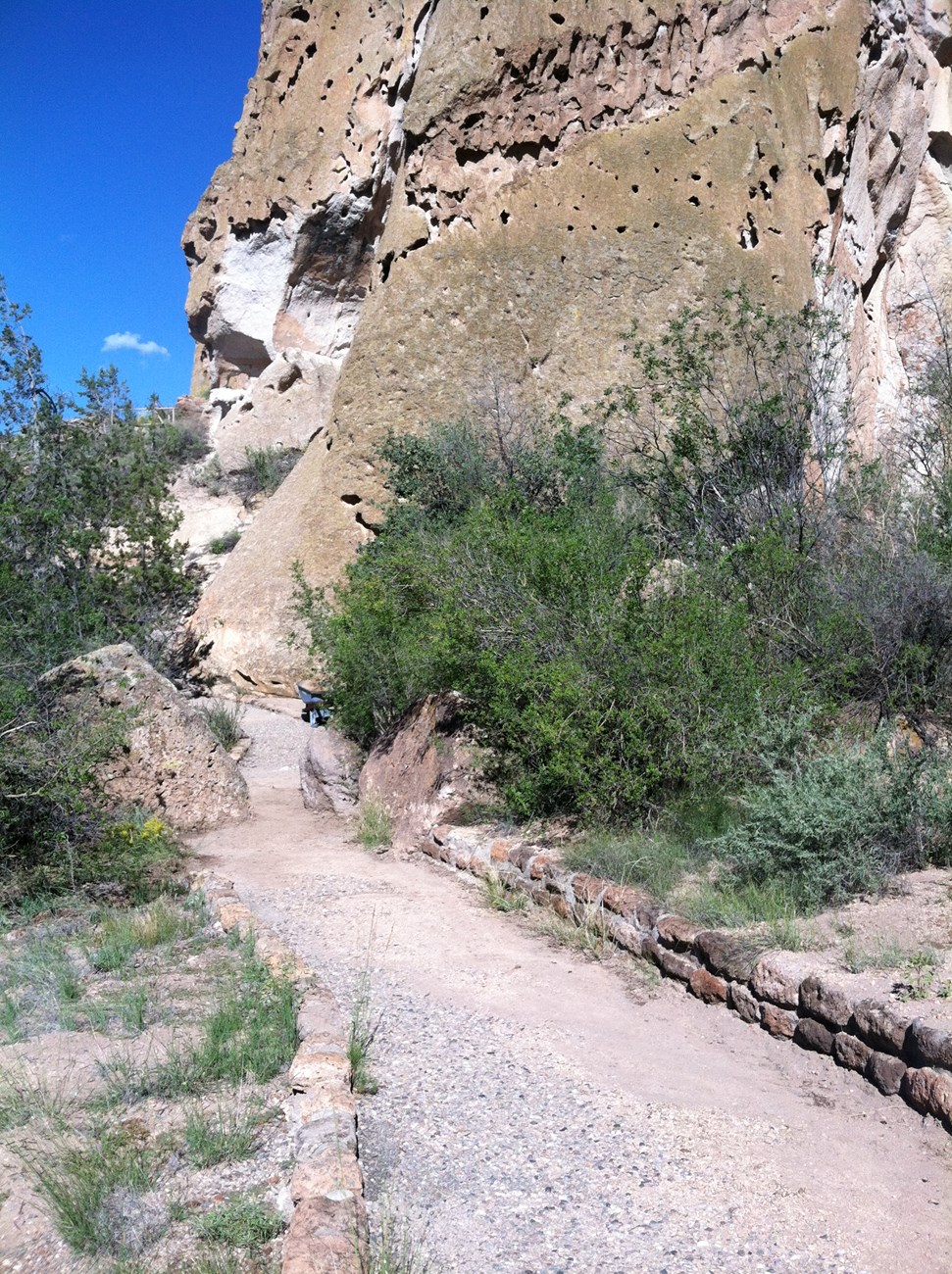 After clean up, trail is ready for visitors!