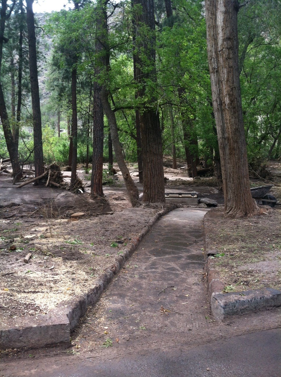 foot bridge area after clean up