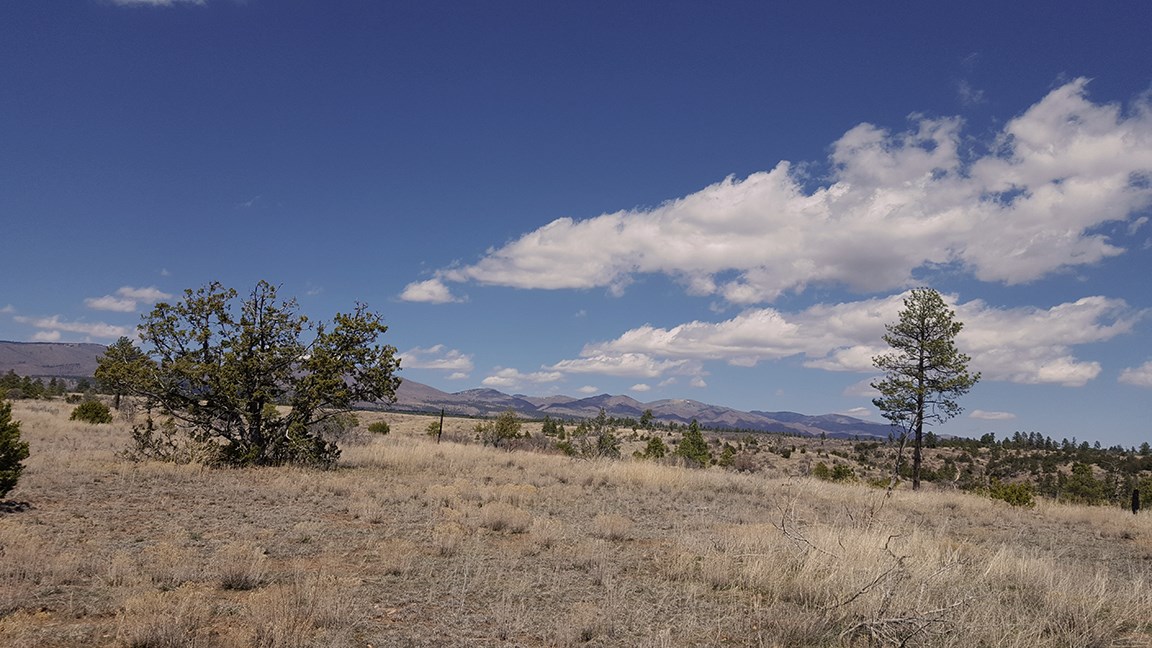 burnt mesa views