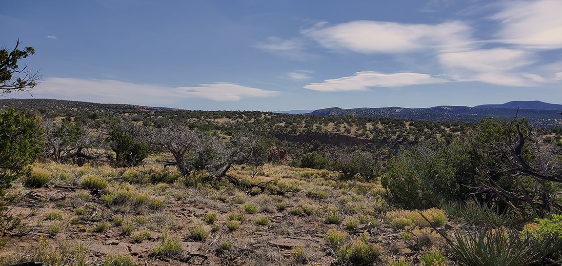 burro trail