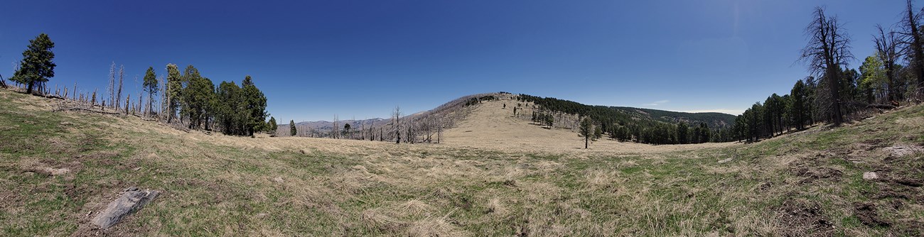 cerro saddle