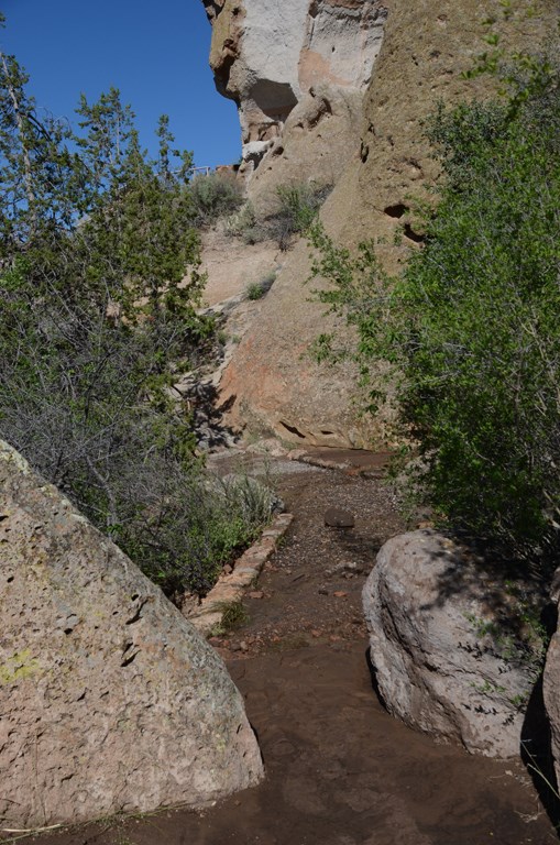 muddy trail