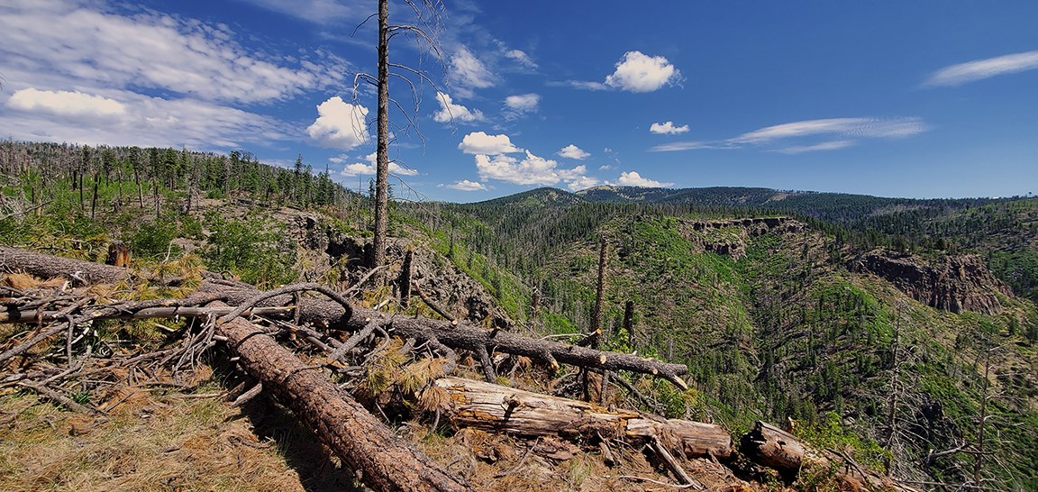 orange trail view