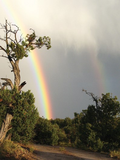 rainbow 2