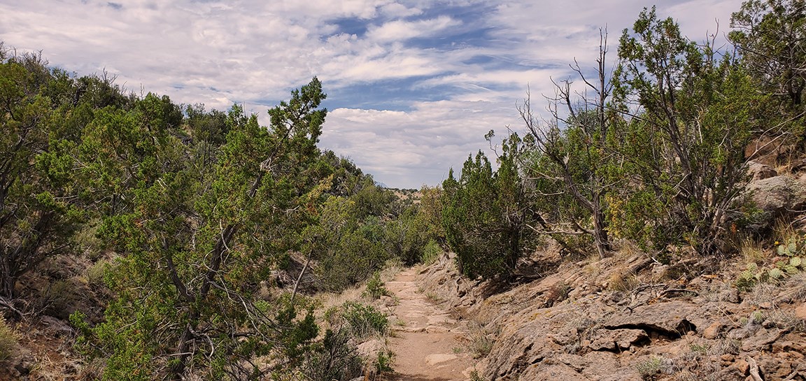 trail at top of mesa
