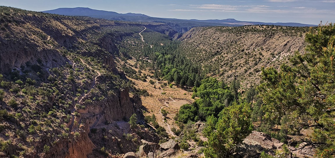 tyuonyi overview