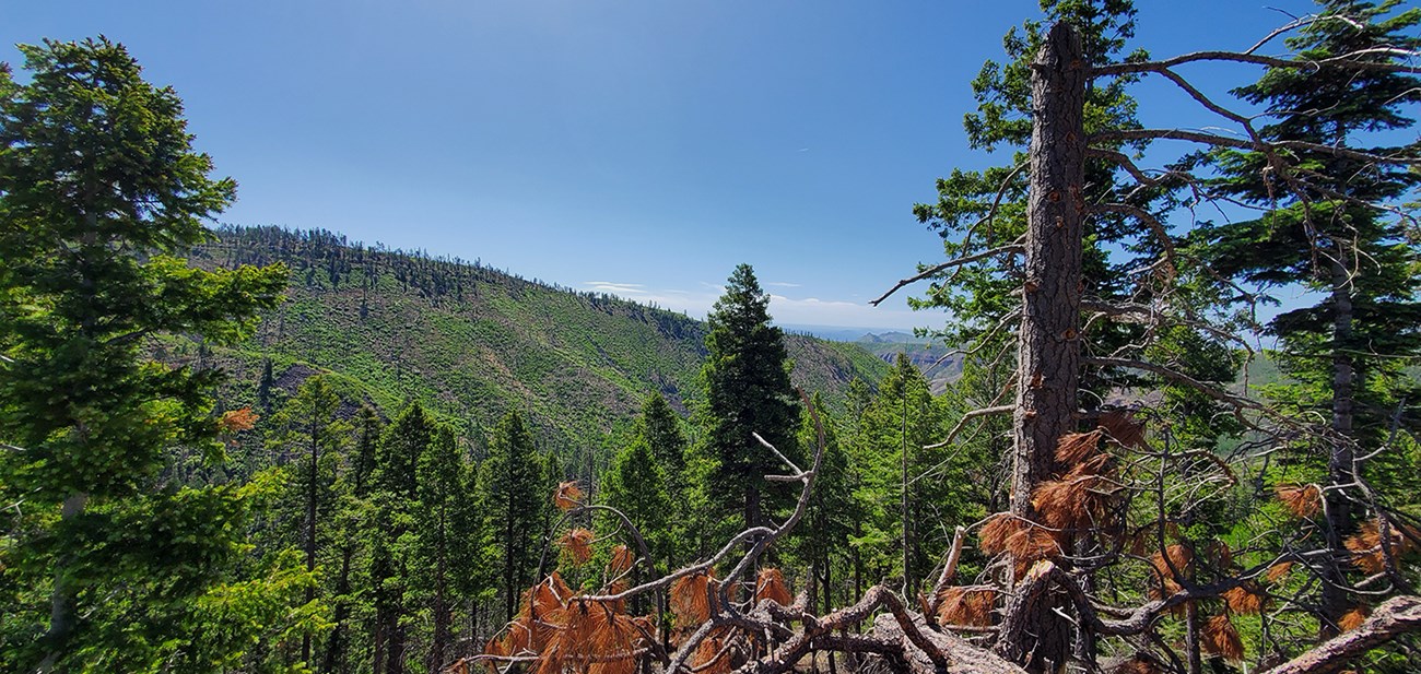 view east from viewpoint