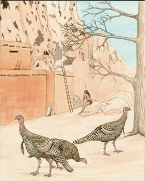 domesticated turkeys