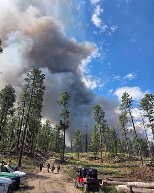 A ground view of the McCauley Fire 6/25/2026