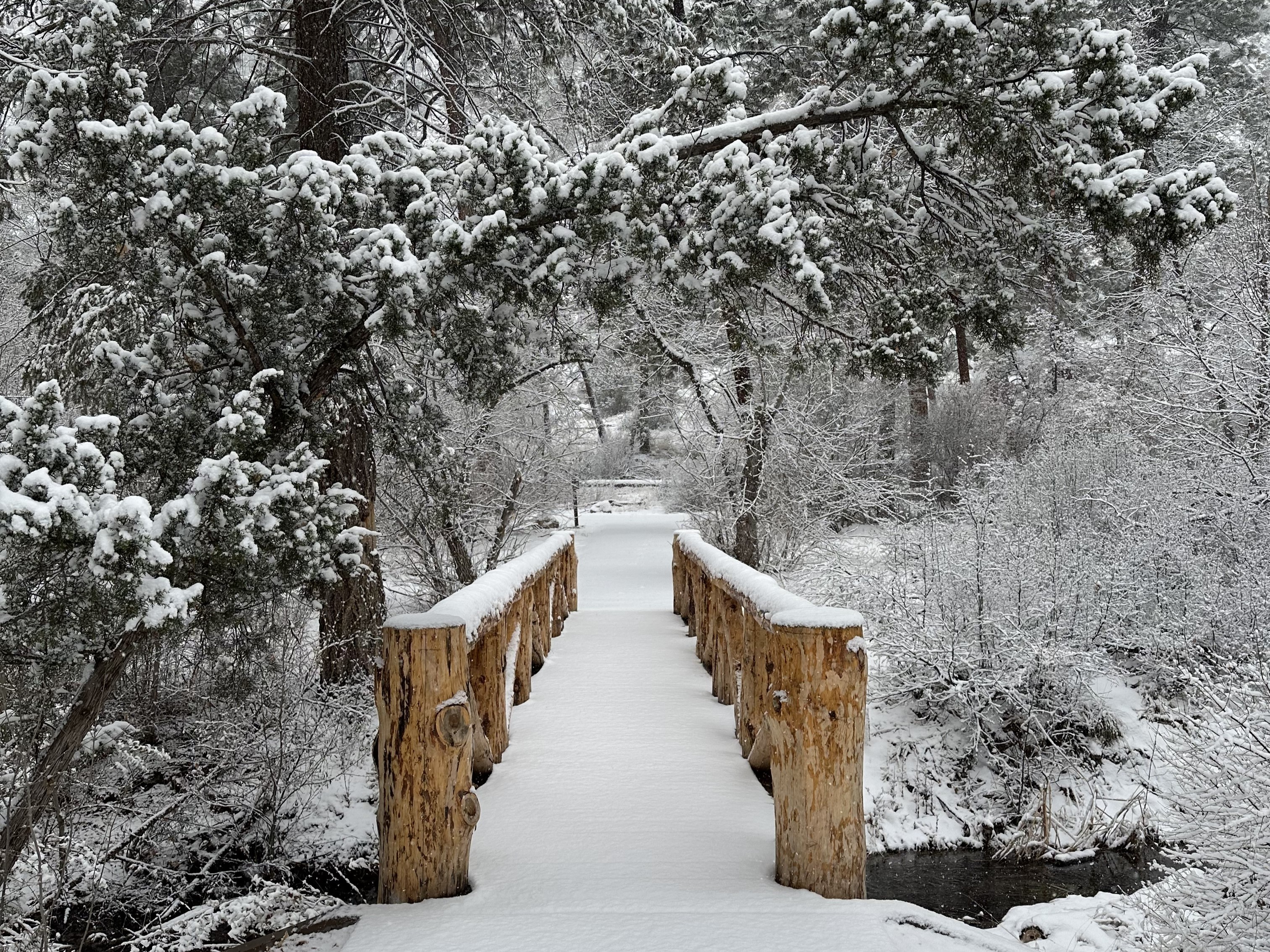 White snow covers a wooden bridge.