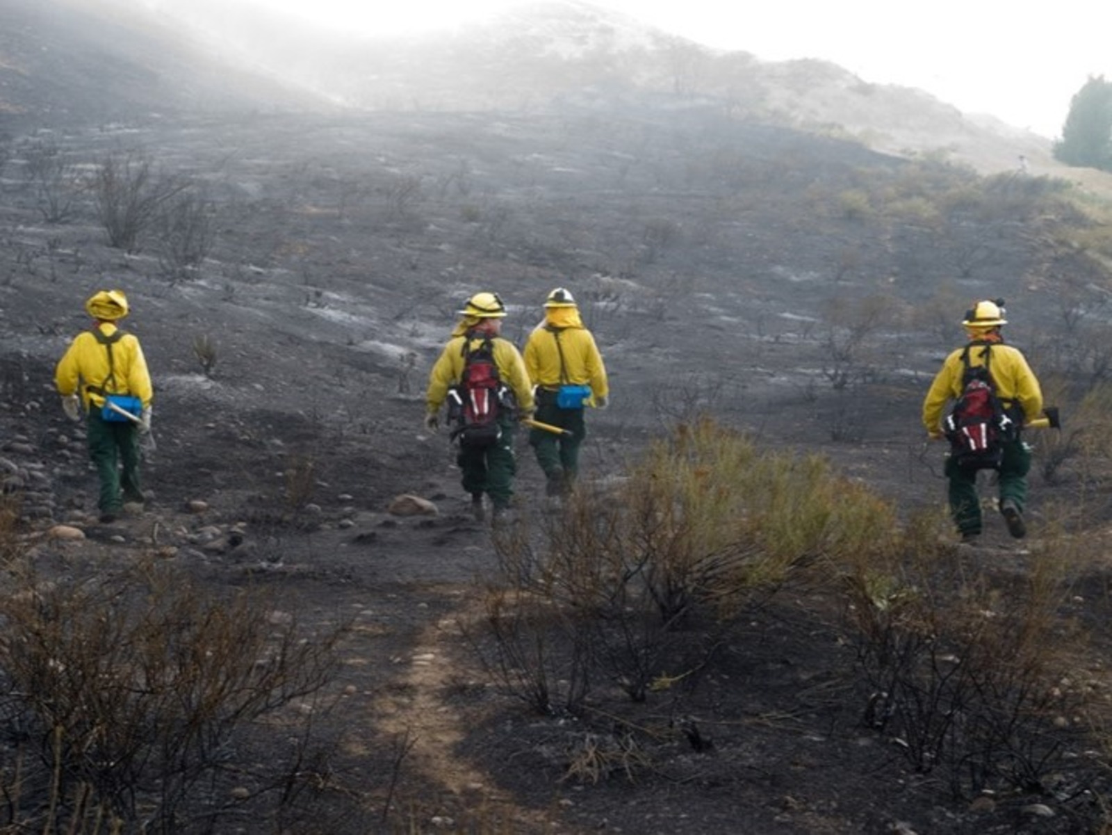 Bandelier National Monument seeks public comment on the preliminary alternatives for a new Fire Management Plan (FMP). Four wildland firefighters walk uphill in a burnt area.