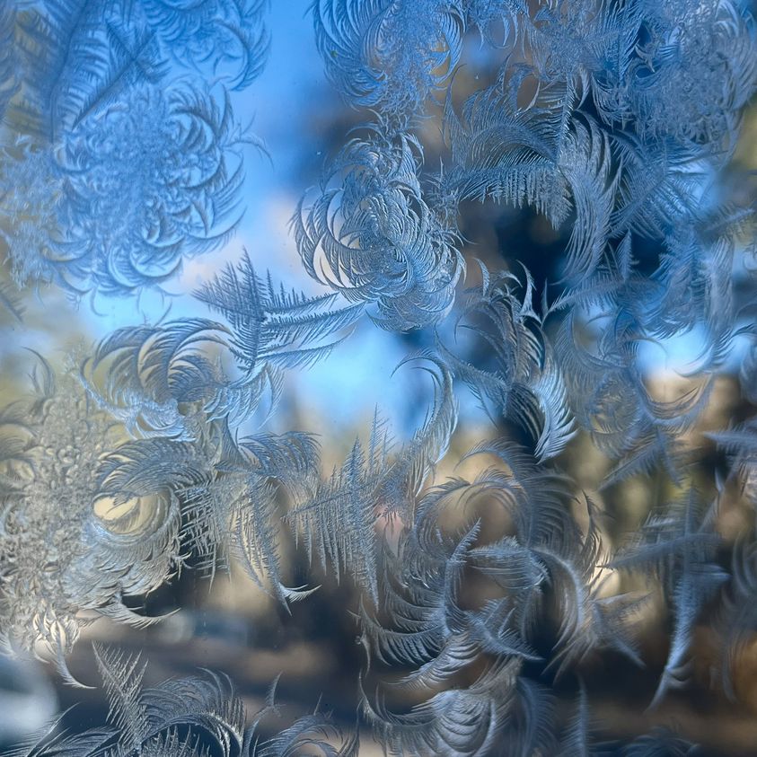 Snow Crystals Snow crystals settle on a window