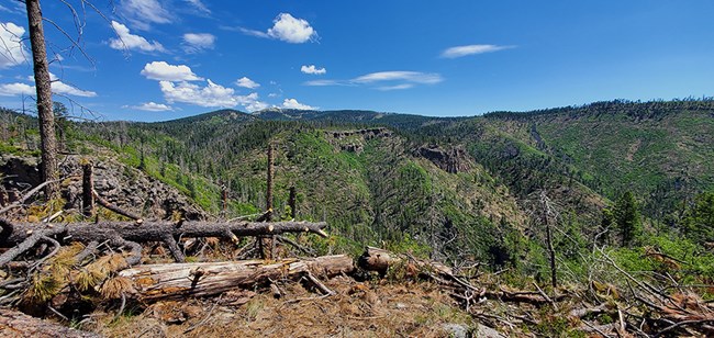 a view of a steep walled canyon with lots of green trees and a blue sky with scattered white clouds