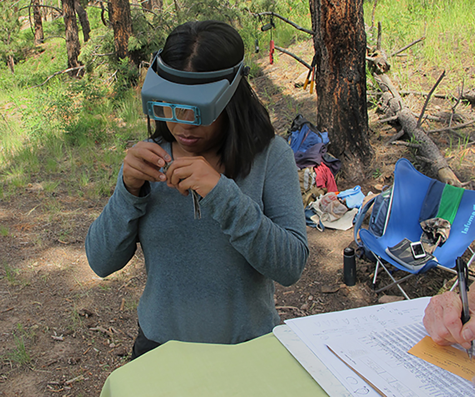 an person examines a bird in hand with magnifying glasses