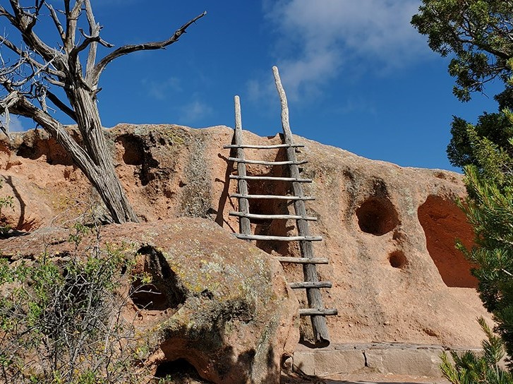 A wooden ladder is set up against a rocky brown mesa with green foliage in the foreground. The sky is blue.