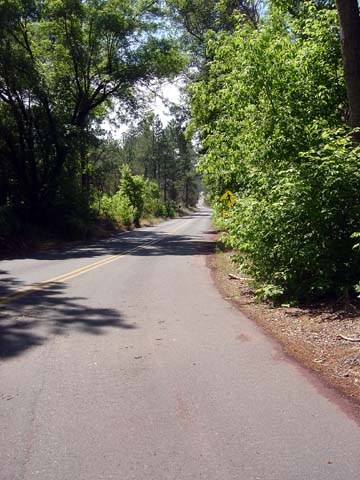 CCC Stop 13