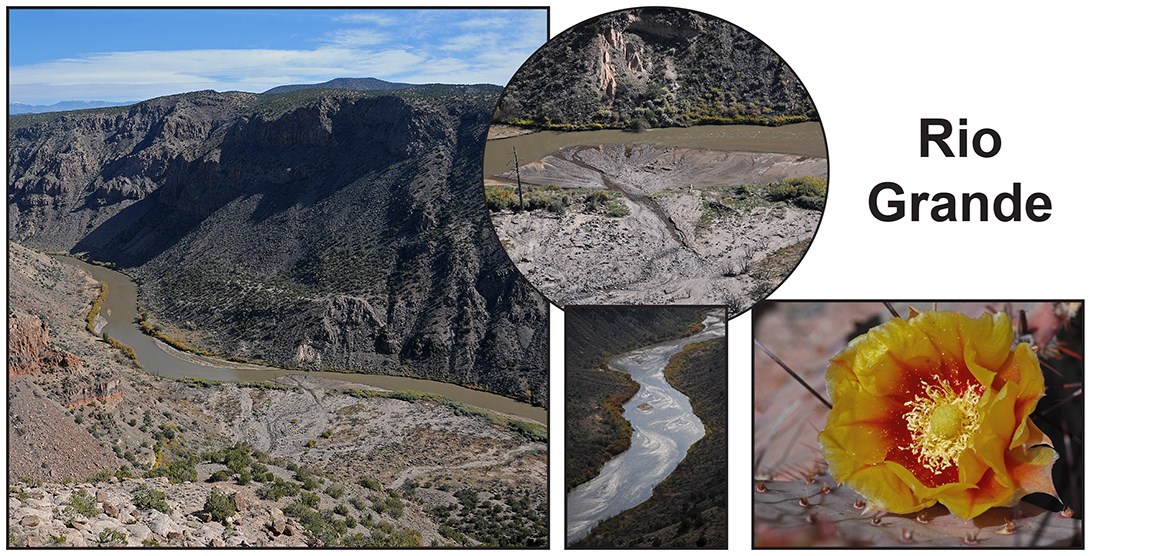 an assortment of images of a silvery river in a deep red rock canyon