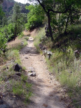 Falls Trail Stop 12 Falls Trail Stop 12