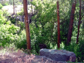 Frijoles Creek Frijoles Creek