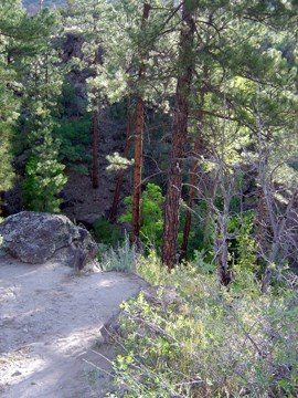 Falls Trail Stop 3 Falls Trail Stop 3