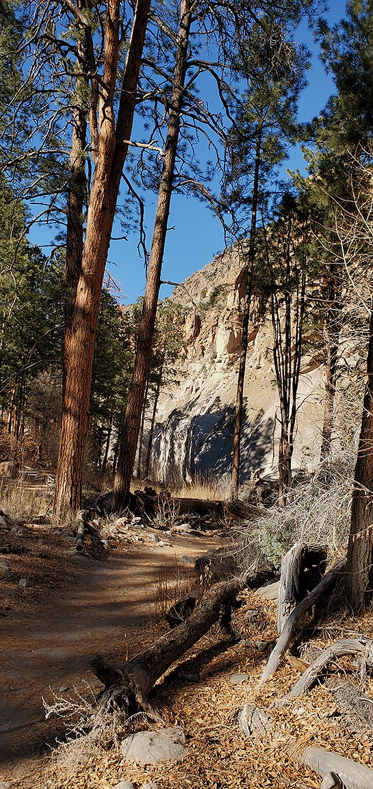 a white of white rock with big trees in foreground