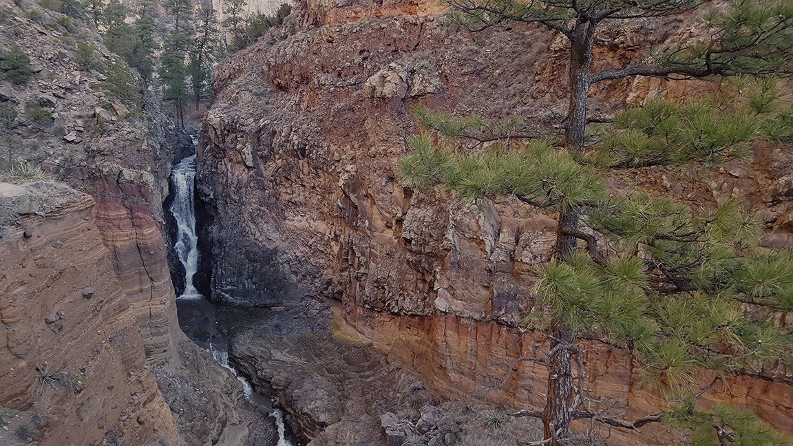 red rock with a large waterfall in the distance and a green tree in the foreground