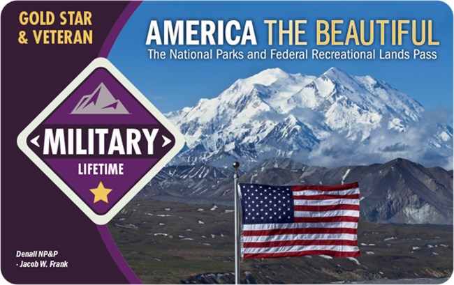 a pass with a photo of a mountain and US flag on it