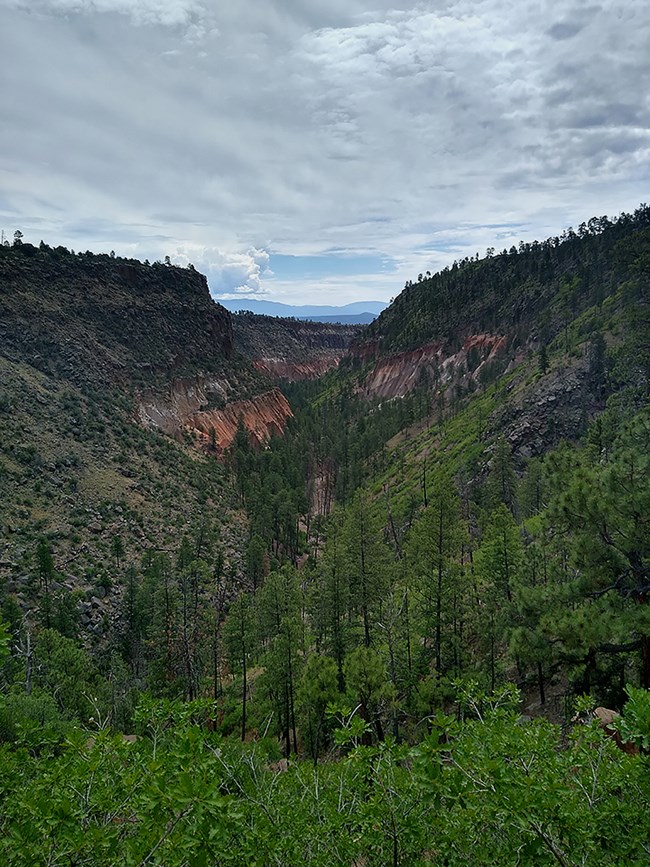 Alamo Canyon