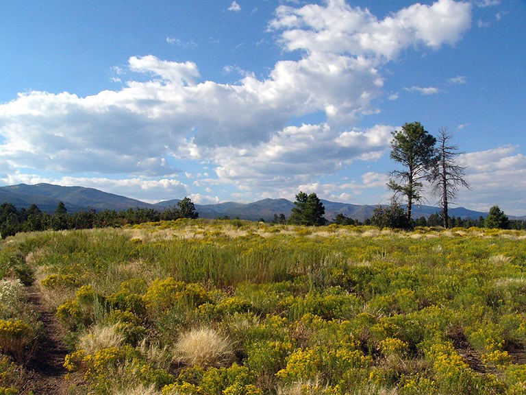 burnt mesa trail 4
