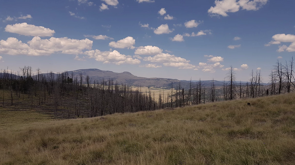 cerro grande 071818 view from cerro grande