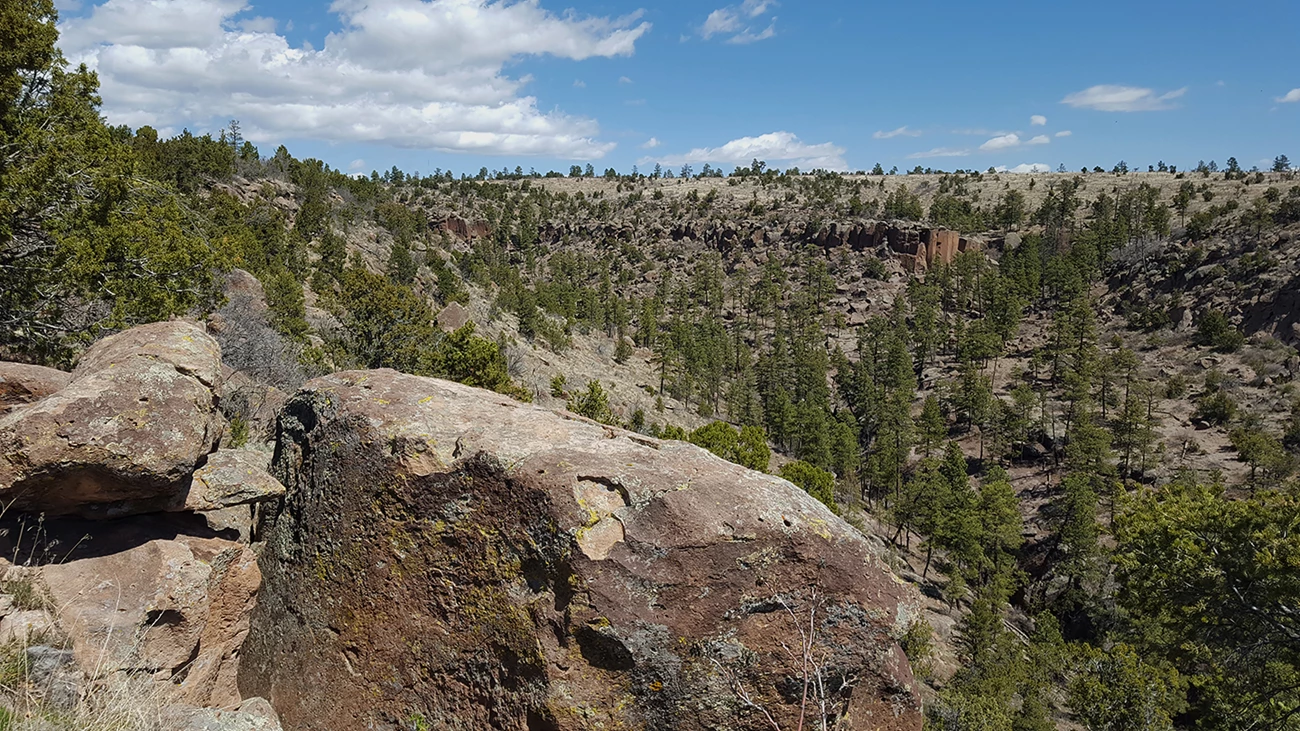 A view of a canyon with big rocks, green trees, and a blue sky with white clouds. A view of a canyon with big rocks, green trees, and a blue sky with white clouds.