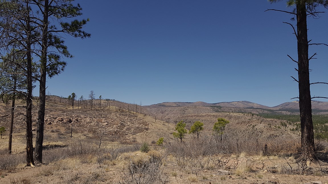 frijoles rim trail