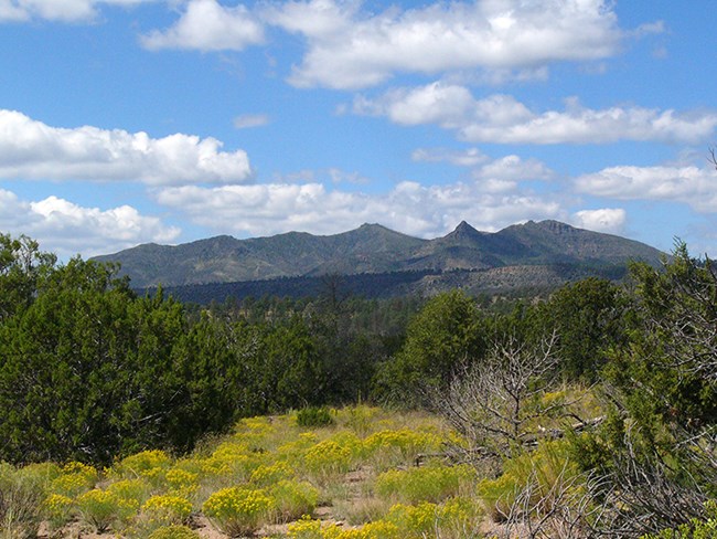 View from Frijolito Loop Trail