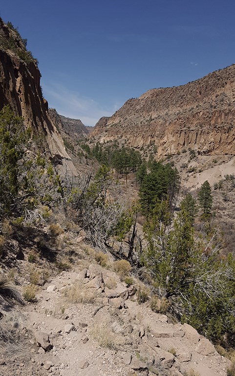 the trail into/out of mid Alamo Canyon