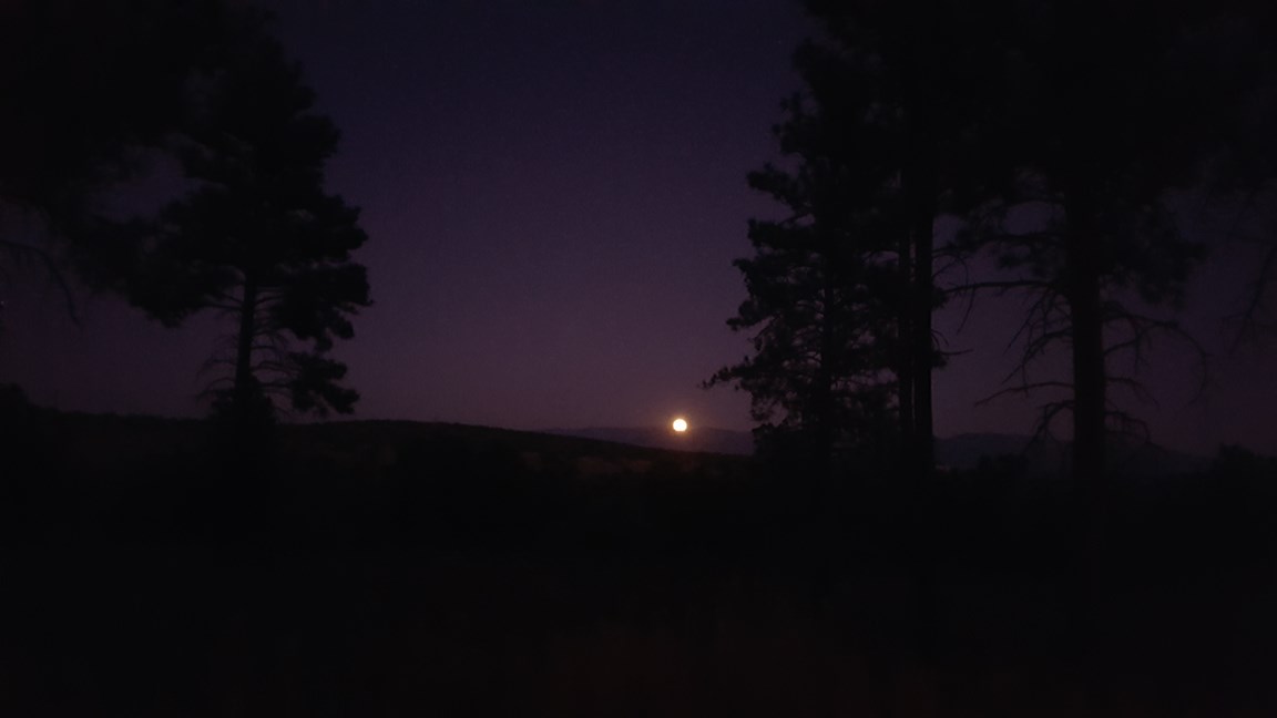 a small, golden moon rises over dark mountains. In the foreground, pine trees are silhouetted against a deep purple sky.
