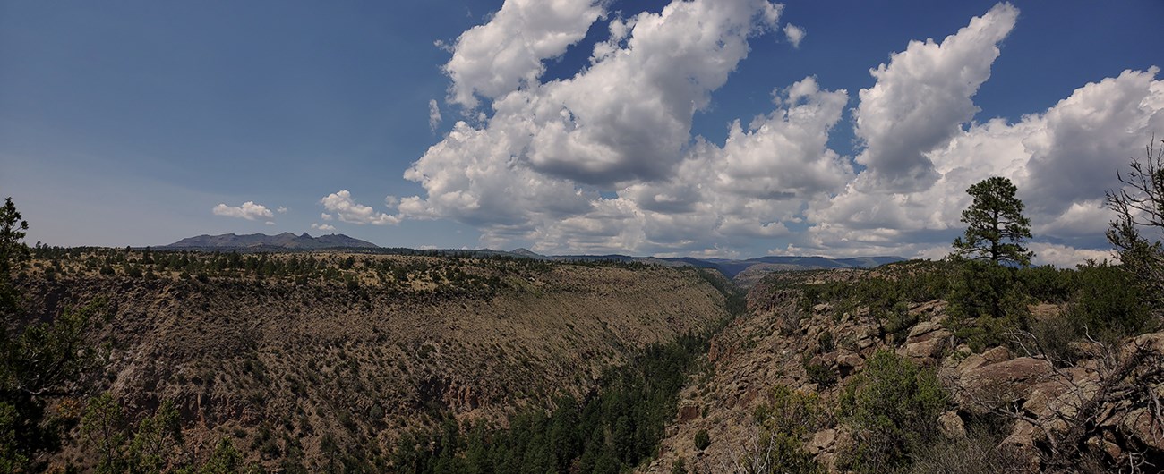 pano upper frijoles