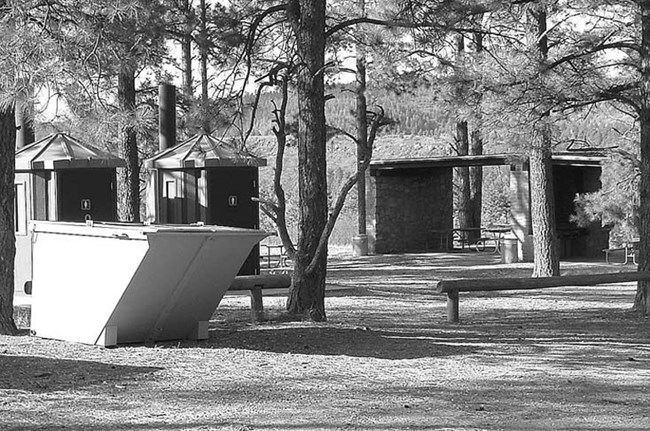 ponderosa campground