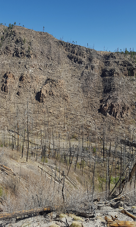 trail from ponderosa