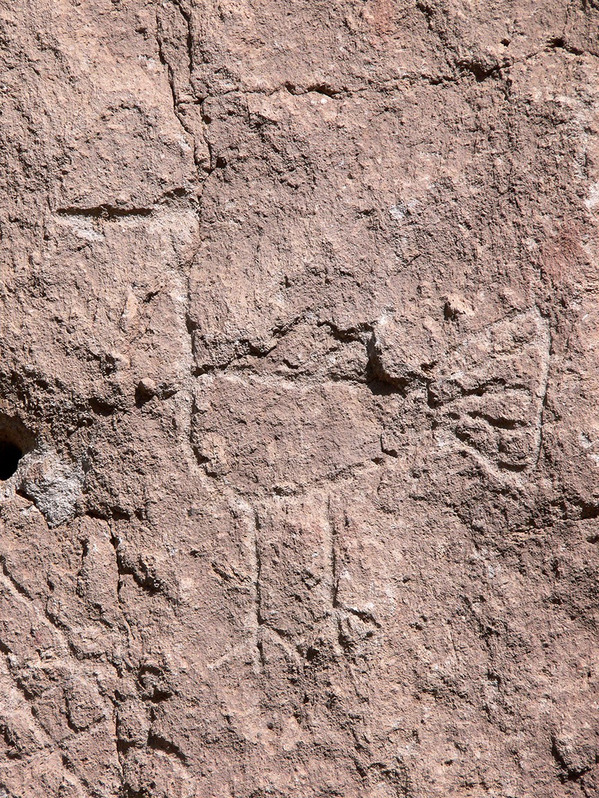 the image of a turkey carved into a beige stone wall
