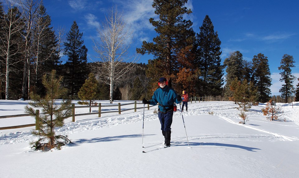 ski trail visitors