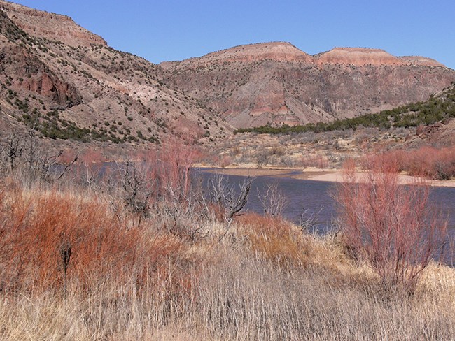 rio grande in winter