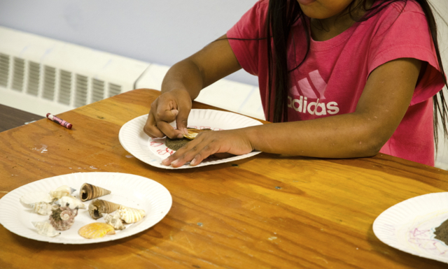 A Junior Ranger Learns About and Creates Her Own Fossil
