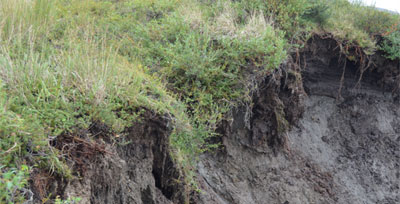 Coastal Erosion