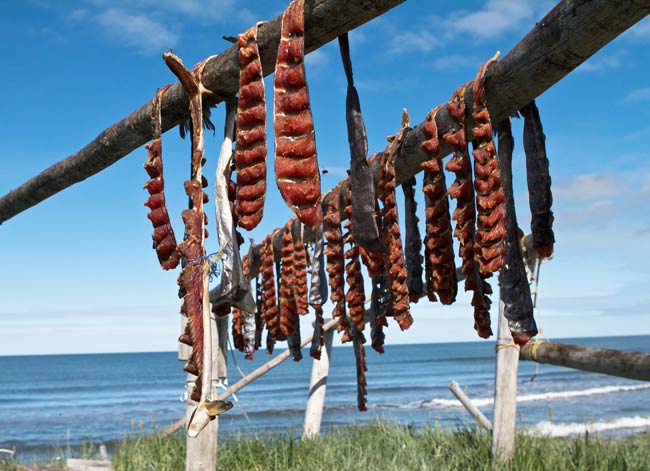 Fish drying