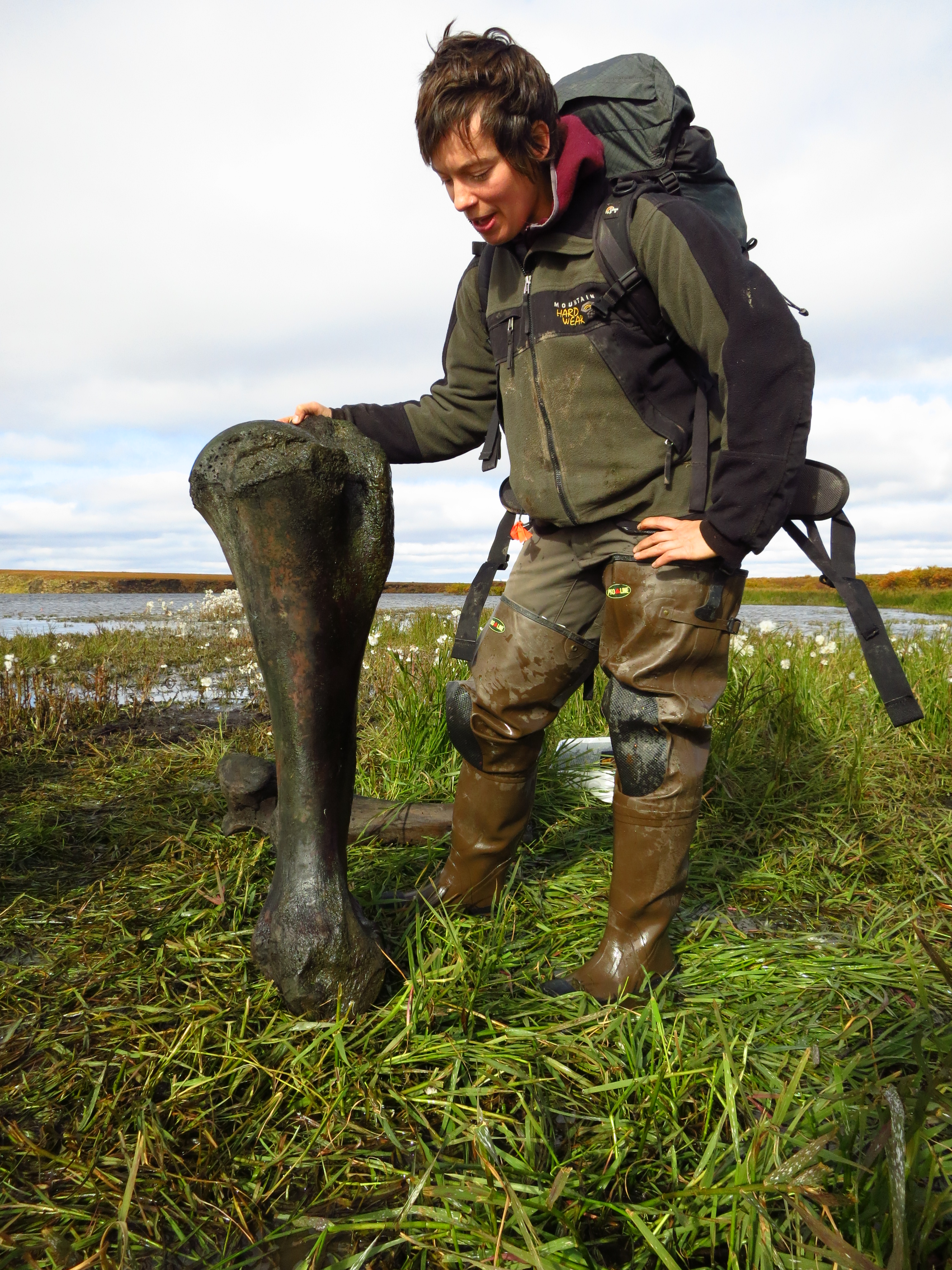 UAF geologist with humerus