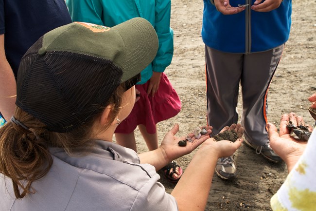 A ranger wearing a NPS ballcap kneels in the sand in front of three standing students. In one hand she holds shells, and in the other is a handful of sand.