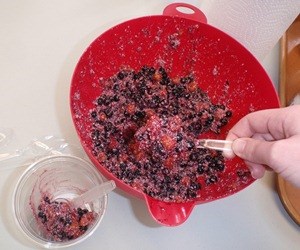 A mixture of berries and fat that make akutuq in a red bowl, with someone's hand scooping it out in a plastic spoon