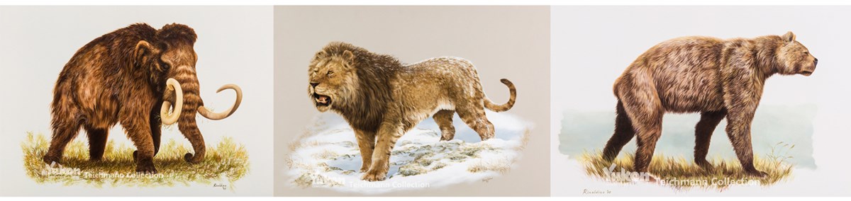 Collage of paintings of Ice Age Animals
